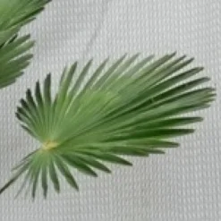 Tuin Verhaal Verkoopwinkel -Tuin Verhaal Verkoopwinkel 20131025101745 10