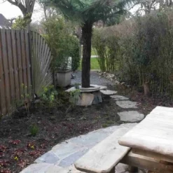 Grote Boomvaren (Dicksonia Antarctica) 26 Grote Boomvaren (Dicksonia Antarctica) -Tuin Verhaal Verkoopwinkel dicksonia antartica 1 1